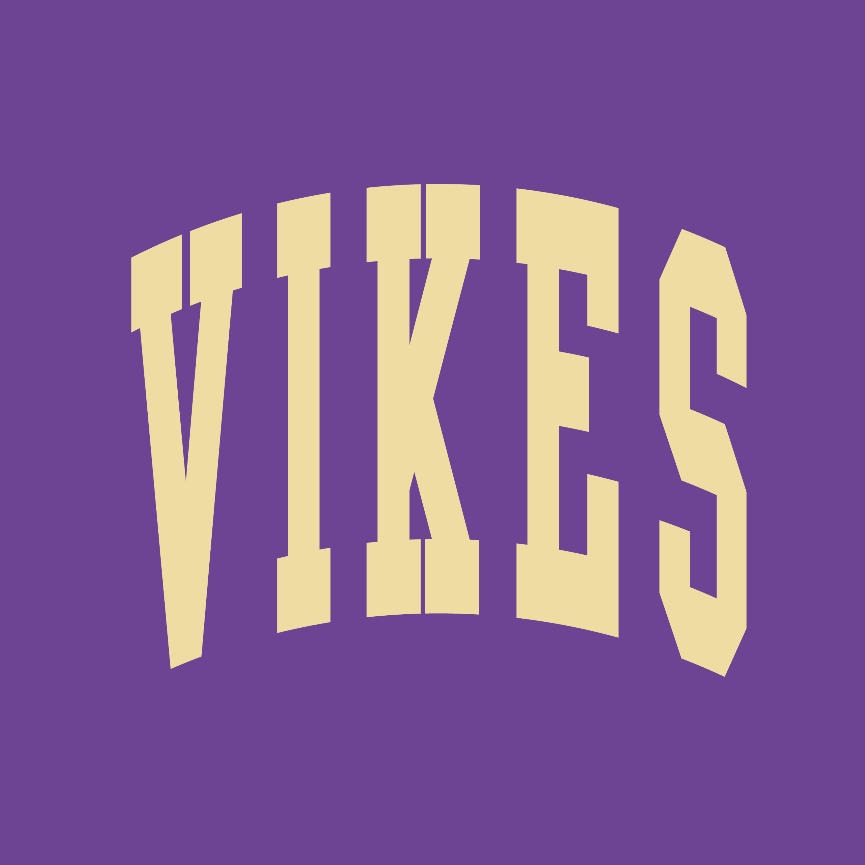 VIKES 2.0